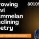 Growing Kavi Sammelan Declining Poetry